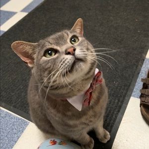 Meet your Posher, Alix